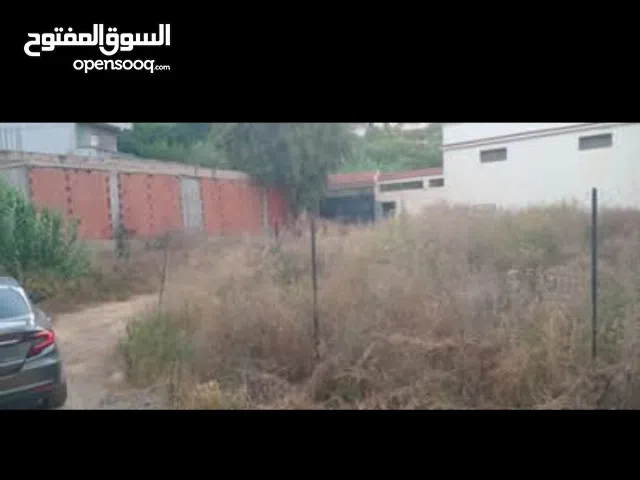 Residential Land for Sale in Algeria Other