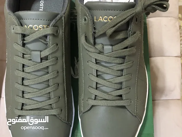 Lacost Casual Shoes in Sharqia