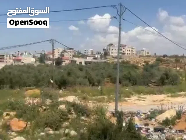قطعه ارض في دير غساله خمسه زلم واصل شارع واصل كل الخدمات مساحه 5 دلم