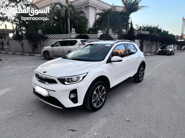 ستونك فل كرتونه ترخيص 2020 باقل سعر بلسوق