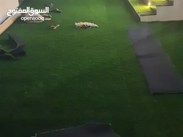 البدر للمفروشات الرواد في سجاد المساجد التركي والايراني وكذلك سجاد المنازل والمكاتب و العشب الصناعي