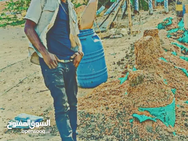 اسامه بشير محمد سعيد