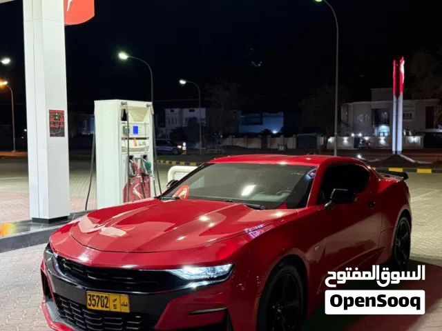 Used Chevrolet Camaro in Muscat