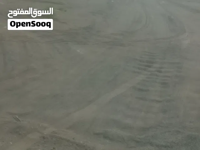 مطلوب جعد مع فحلهن