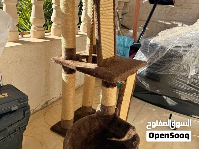 شجرة لعب وخدش للقطط (Cat Tree) مناسبة للعب، التسلق، وخدش الأظافر، وتحتوي على مكان مريح لنوم القط.