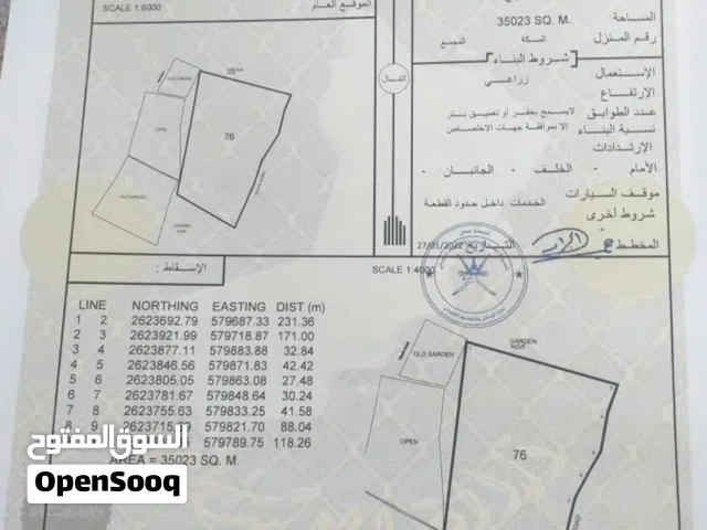 للبيع ارض زراعية فضاء ممتازة في ولاية بركاء البلة ، رقم القطعة (76) ، مساحه الارض  35023 م2 .