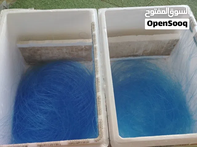 شكات شعري وسهوه