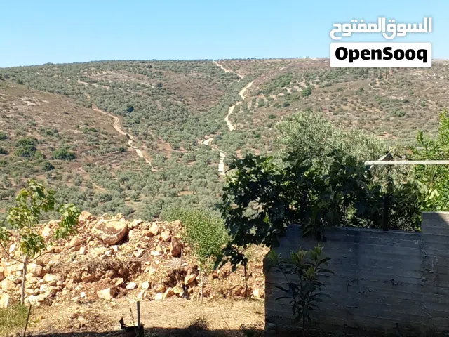 خلة بدر كوشان نظيف