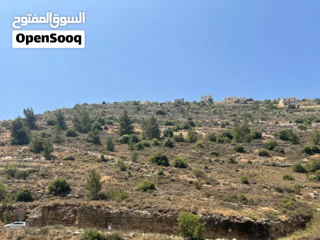 قطعة ارض للبيع في مدينة الخليل حسكه دونم تنصيف الف كوشان طابو