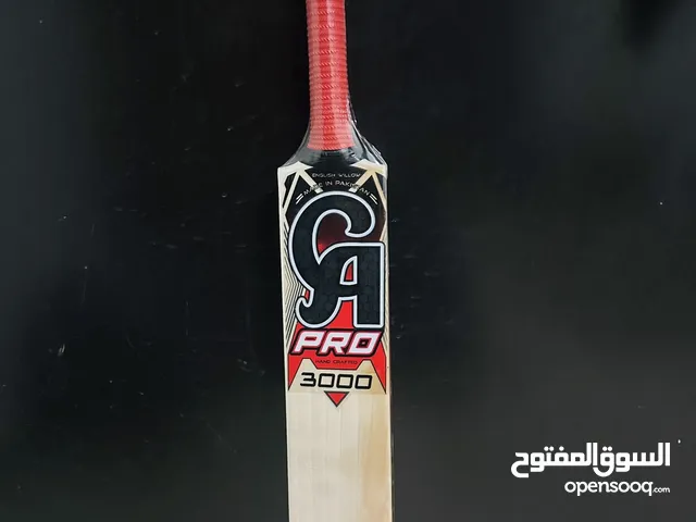 Ca Pro 3000 cricket bat