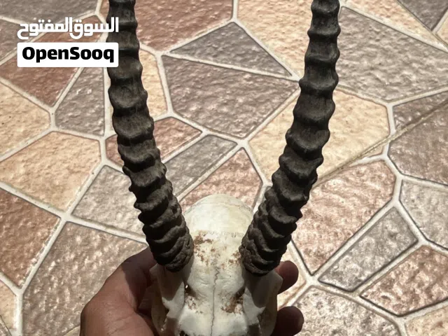 تحفه فنيه جميله