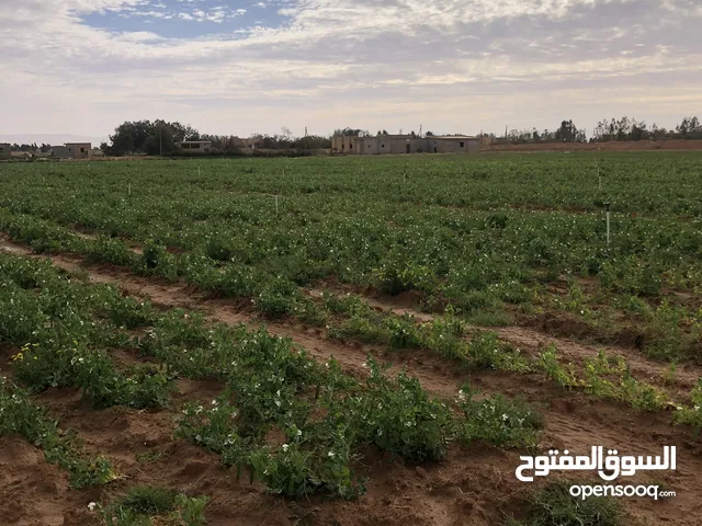 4 Bedrooms Farms for Sale in Gharyan Other