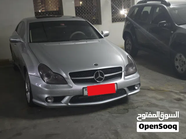 2010 Mercedes Benz CLS-Class CLS 350