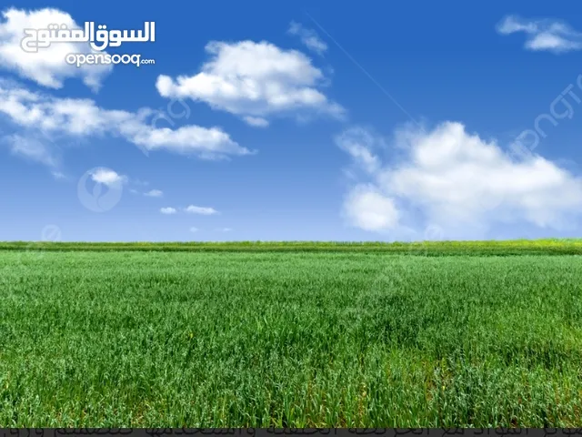 ارض لقطة لقطة جاهزة للبناء .مرتبة