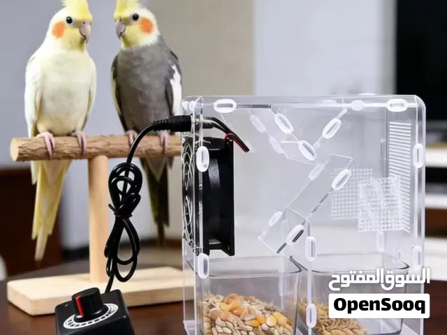 اكل الطيور الوصف مهم