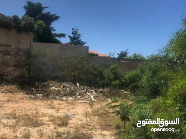 Residential Land for Sale in Oran Other