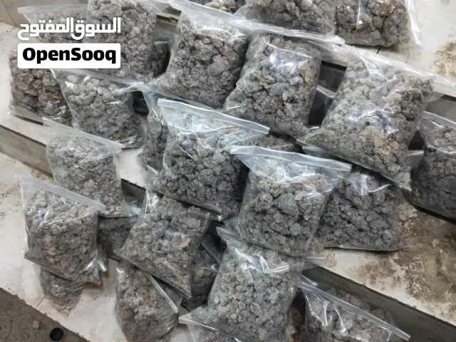 عرض خاص للتجار اللبان الحوجري العماني فصوص للبخور من جبال حاسك قطف جديد ريحه جميله ومناسبه للجميع