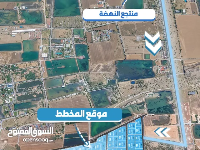 Farm Land for Sale in Muscat Al Khoud