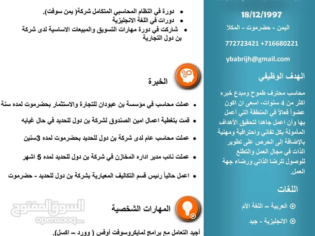 Yousef Babrijh