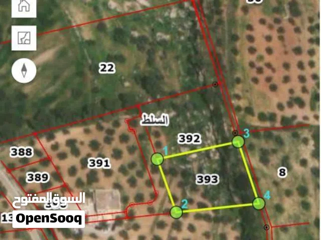 Farm Land for Sale in Salt Kafr Hooda