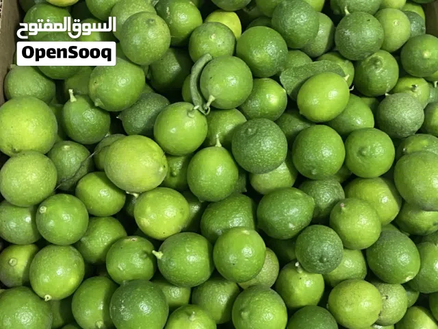 ليمون للبيع