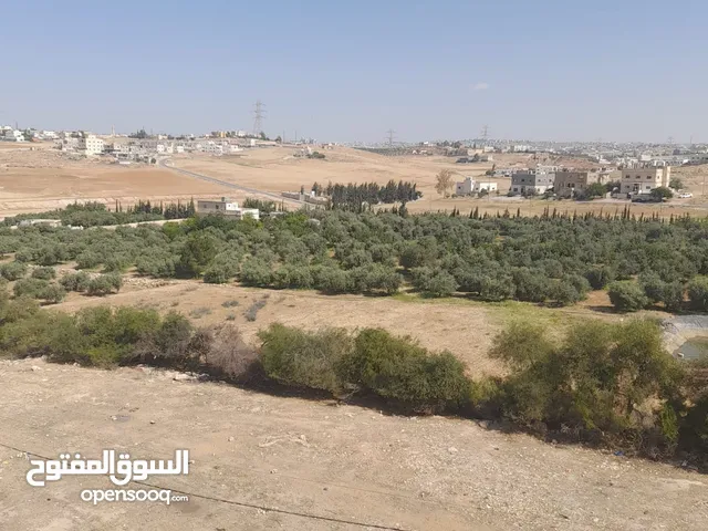 96 m2 2 Bedrooms Apartments for Sale in Amman Salem