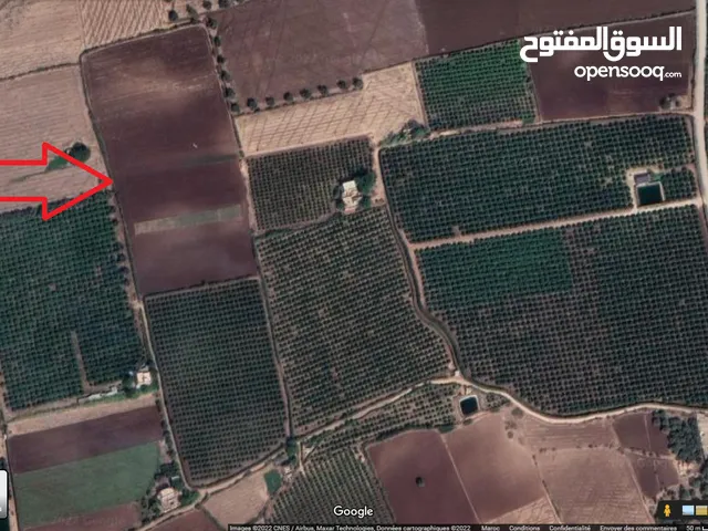Farm Land for Sale in Béni Mellal Other