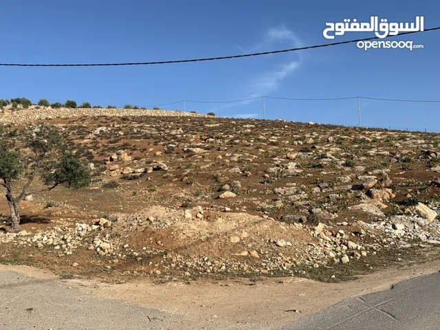 Mixed Use Land for Sale in Amman Jubaiha