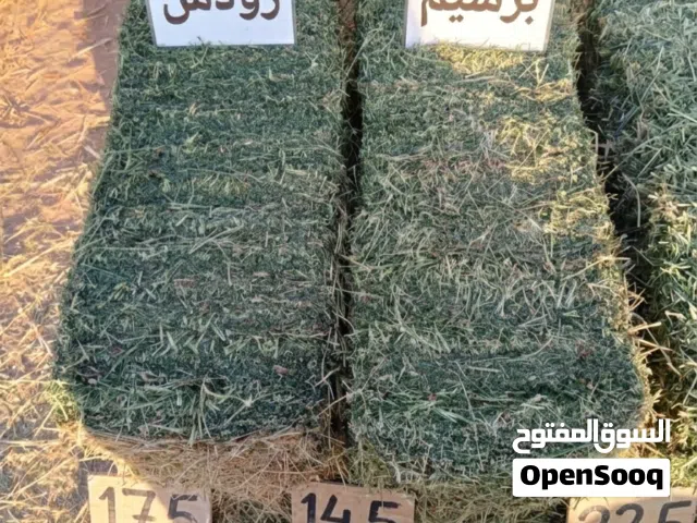 برسيم ورودس ممتاز للبيع في طبرجل - أعلاف عالية الجودة
