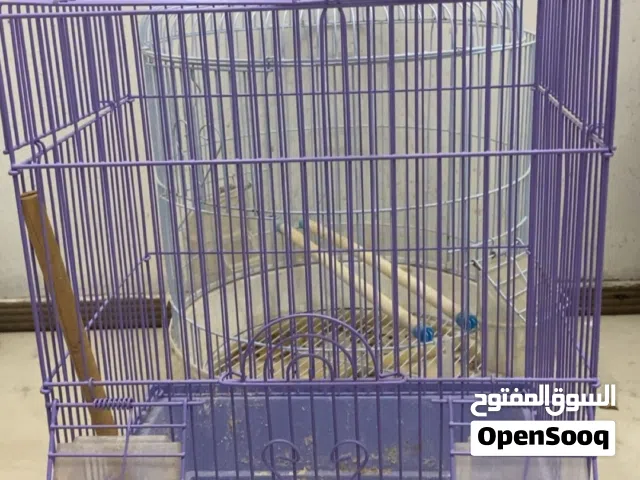 للبيع قفص طيور مستخدم