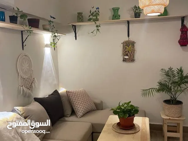 60 m2 1 Bedroom Apartments for Rent in Cairo Nasr City