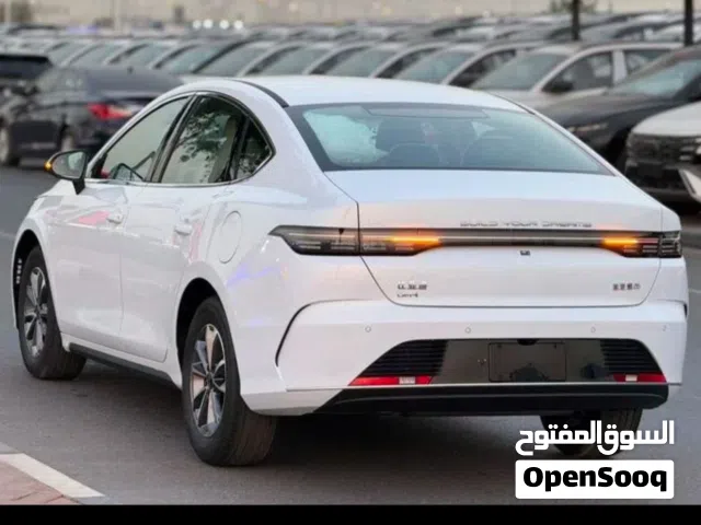 2025 بي واي دي ديستروير