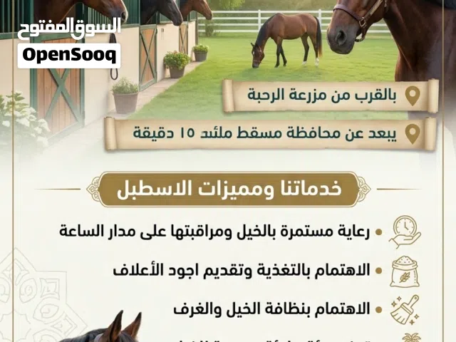 متوفر غرف لإيواء الخيل