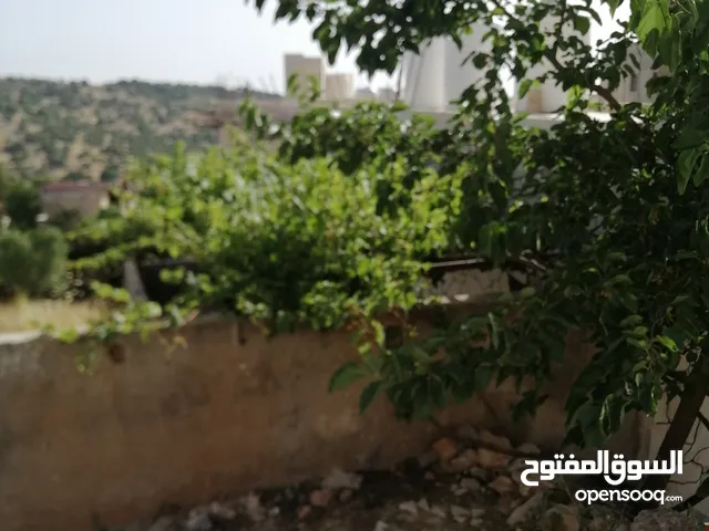 100 m2 3 Bedrooms Townhouse for Rent in Ajloun Other