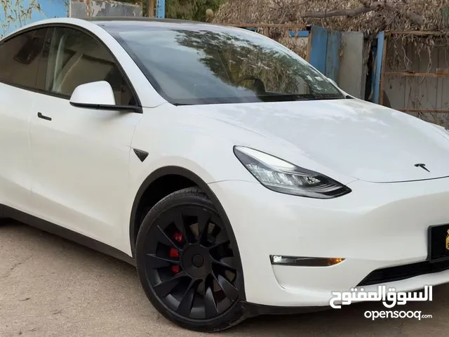 Tesla Model Y Dual Motor Long Range 2023