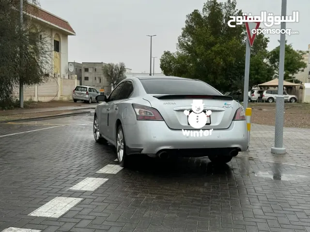 Used Nissan Maxima in Al Ain