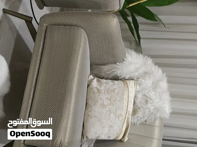 قطة مهجنة (شيرازية-سكوتش)