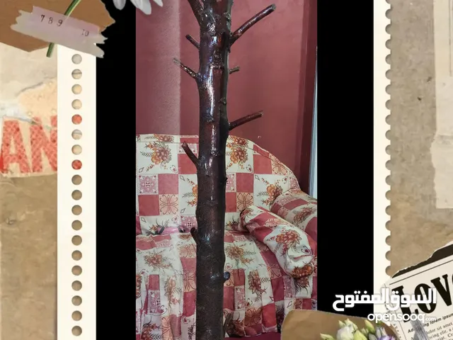 شماعه غرفة نوم