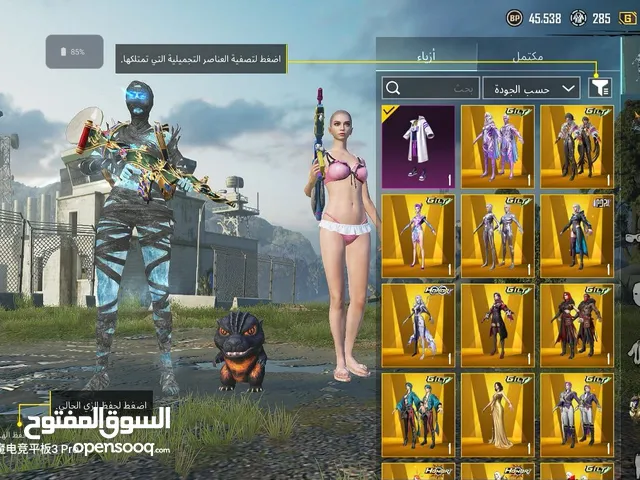 Pubg Accounts and Characters for Sale in Ajman