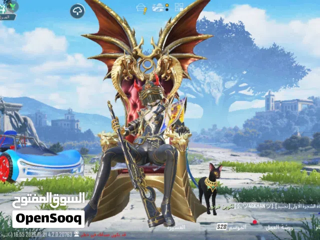 Pubg Accounts and Characters for Sale in Dubai