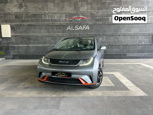 2022 BYD Dolphin