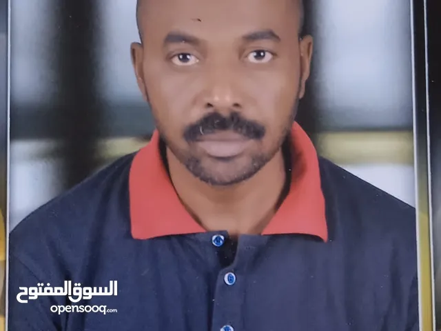 استاذ لغة انجليزية