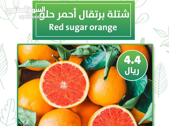 شتلات وأشجار البرتقال والحمضيات من مشتل الأرياف  أسعار منافسة نارنگی /  میندر کا درخت orange tree