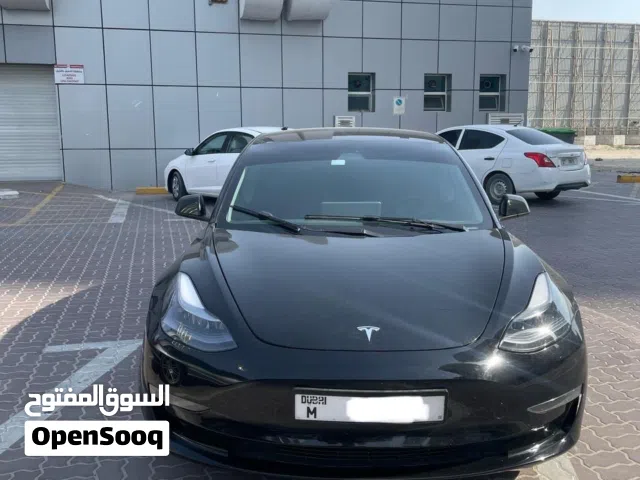 2023 تيسلا موديل 3 Standard