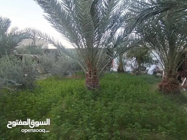 عقار أرض إستراحة سكنية للبيع على 3 واجهات - مصراتة - كرزاز - بالقرب من مقسم العظام الياسمين -550م
