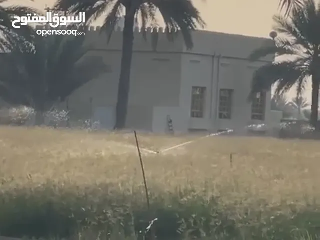 مباشر من المالك مزرعة في ولاية المصنعة الشعيبة جهة الجنوب بالقرب من الشارع العام الرئيسي