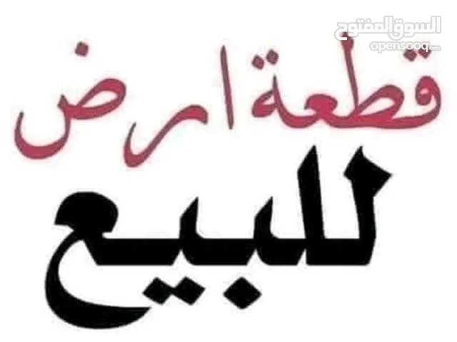 نصف دنم في ابوديس