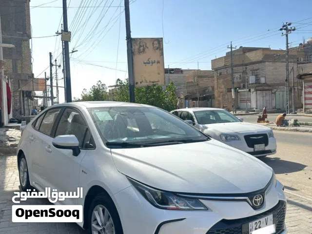 زيروه البارح خذيته معتاز فلوس وأريد أبيعة