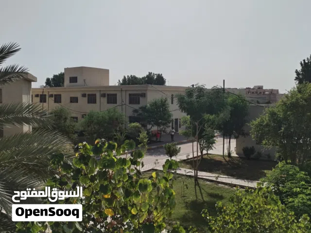 محتاج شقة للأيجار