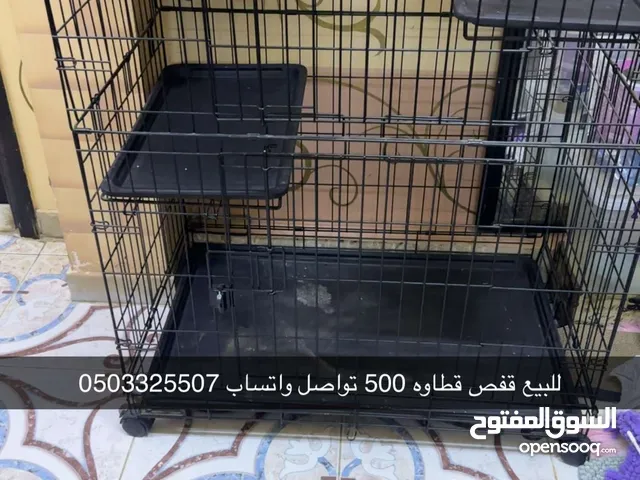 قفص القطط للبيع